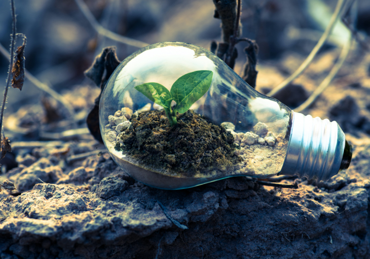 Light bulb on cracked ground with soil and a green plant growing inside it.