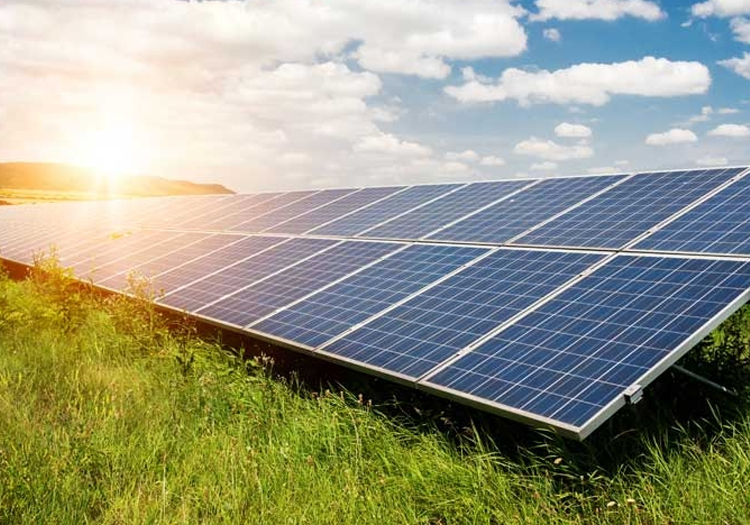 Solar panels installed in a grassy field under a clear sky with bright sunlight, indicating renewable energy generation.