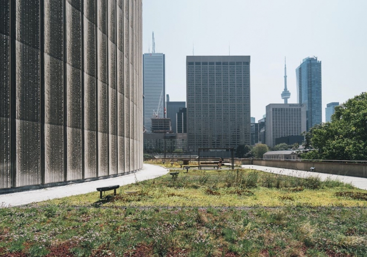 Urban landscape featuring a curved pathway leading to high-rise buildings, including the CN Tower. The foreground includes grass, small plants, a bench, and picnic tables, contrasting nature with architecture.