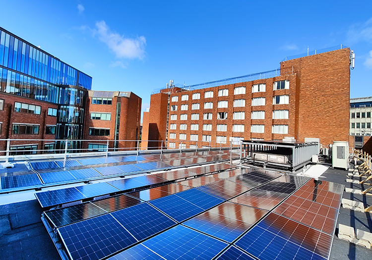 "Rooftop solar panel installation with brick and glass buildings in the background under a clear blue sky